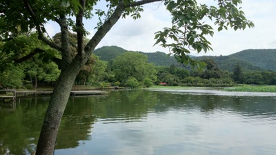 大覚寺　大沢池